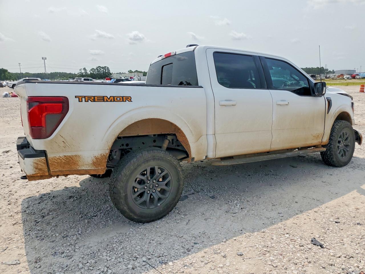 2025 FORD F150 TREMOR — снимка 3