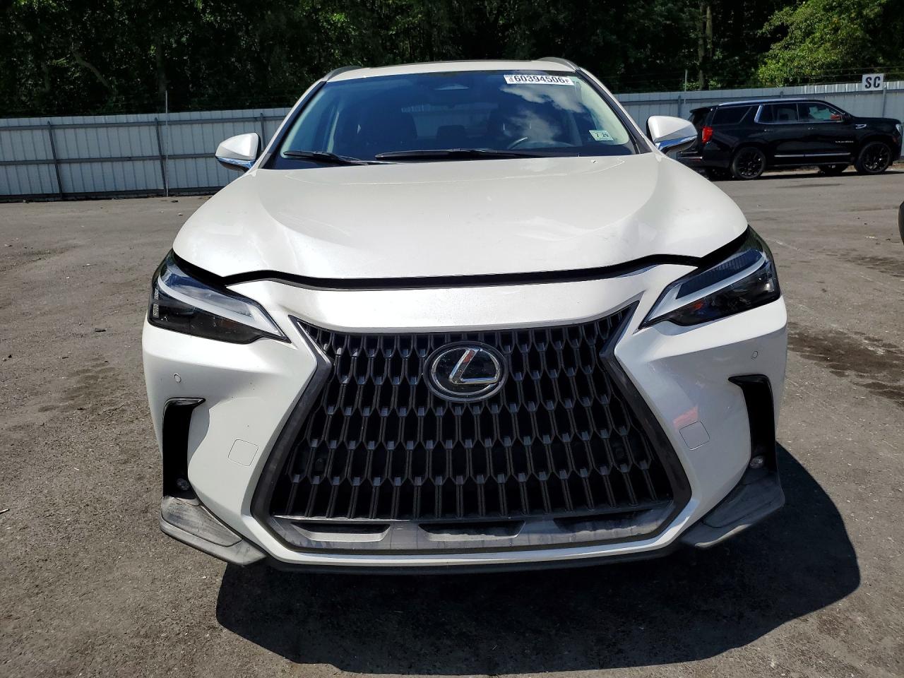 2024 LEXUS NX 350 PREMIUM — снимка 5