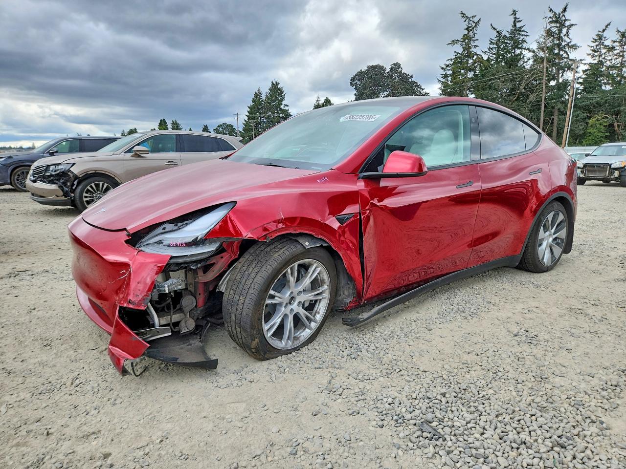 2024 TESLA MODEL Y