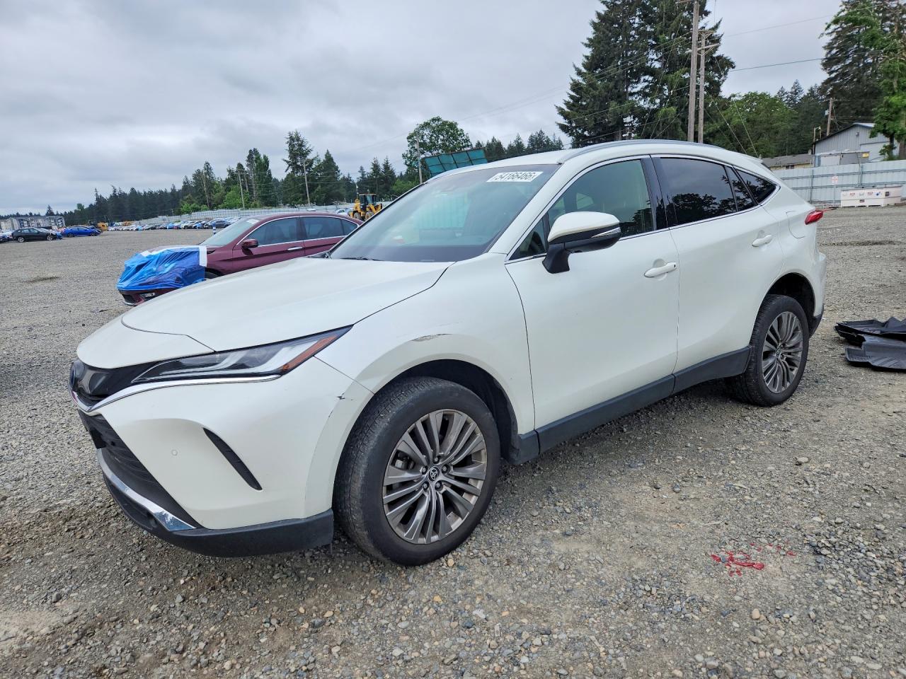 2022 TOYOTA VENZA XLE