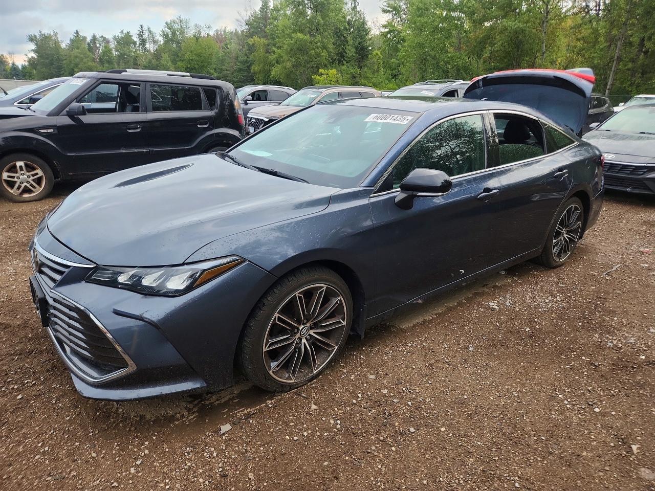 2019 TOYOTA AVALON XLE