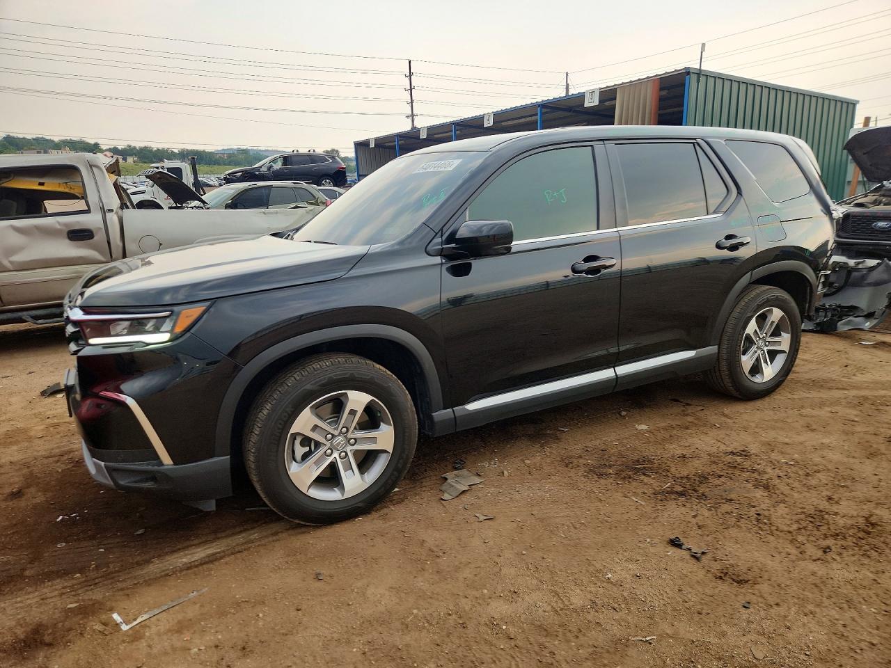 2025 HONDA PILOT EXL