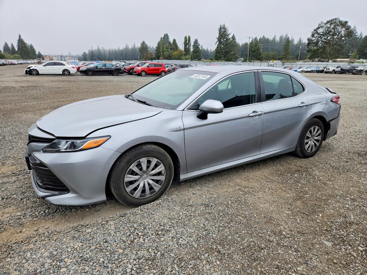 2019 TOYOTA CAMRY LE