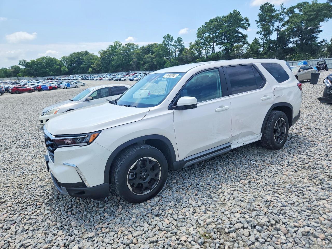 2025 HONDA PILOT EXL