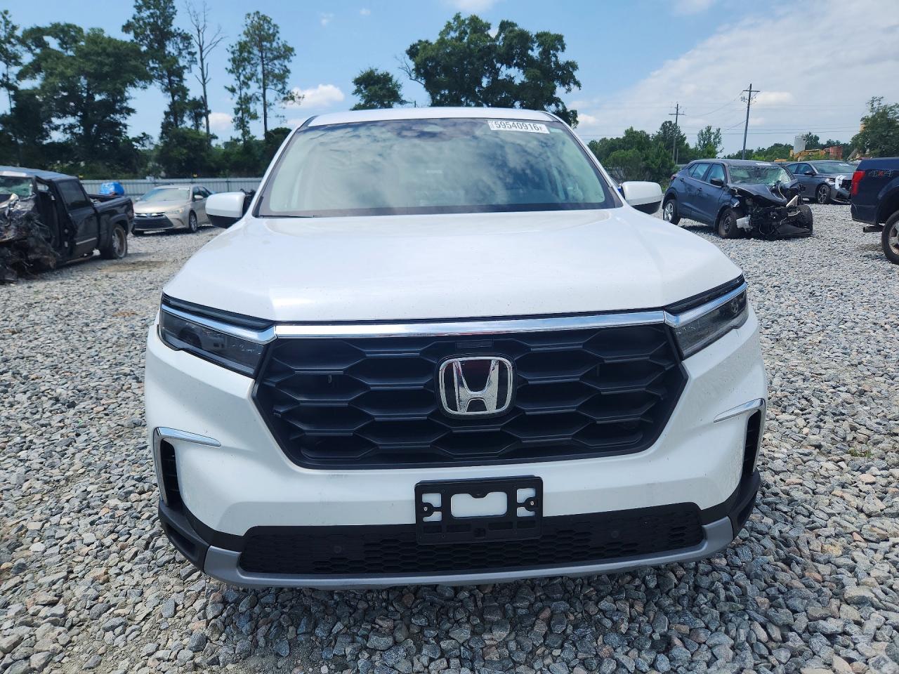 2025 HONDA PILOT EXL — снимка 5