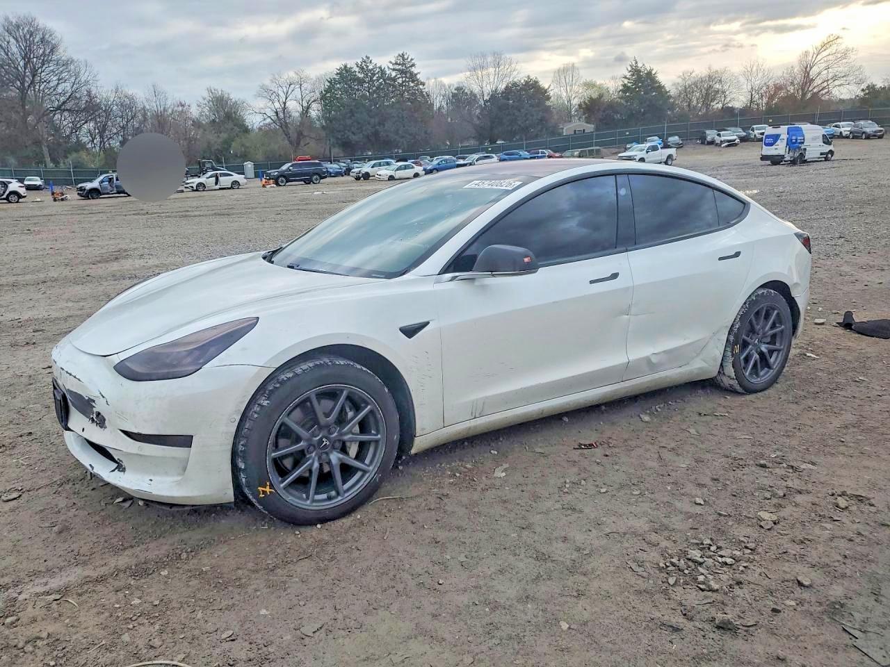 2019 TESLA MODEL 3