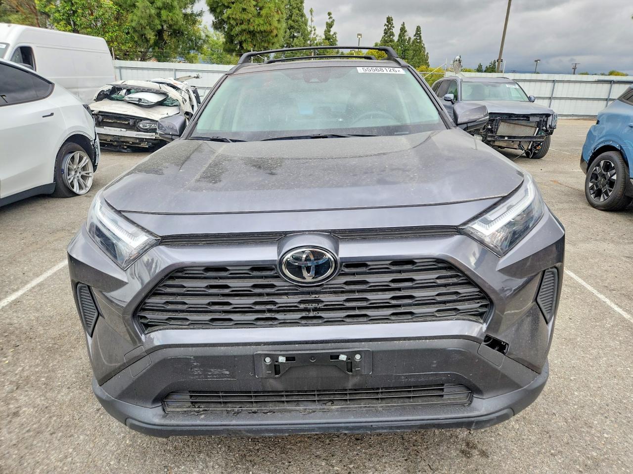 2025 TOYOTA RAV4 HYB — снимка 5