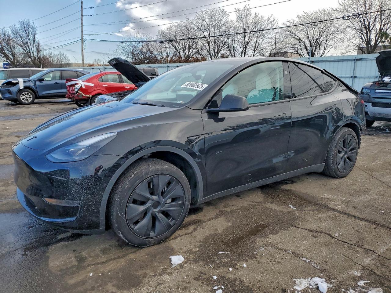 2024 TESLA MODEL Y