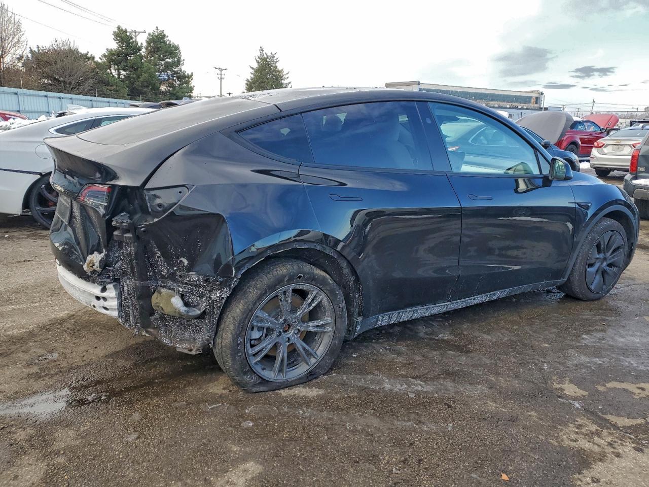 2024 TESLA MODEL Y — снимка 3