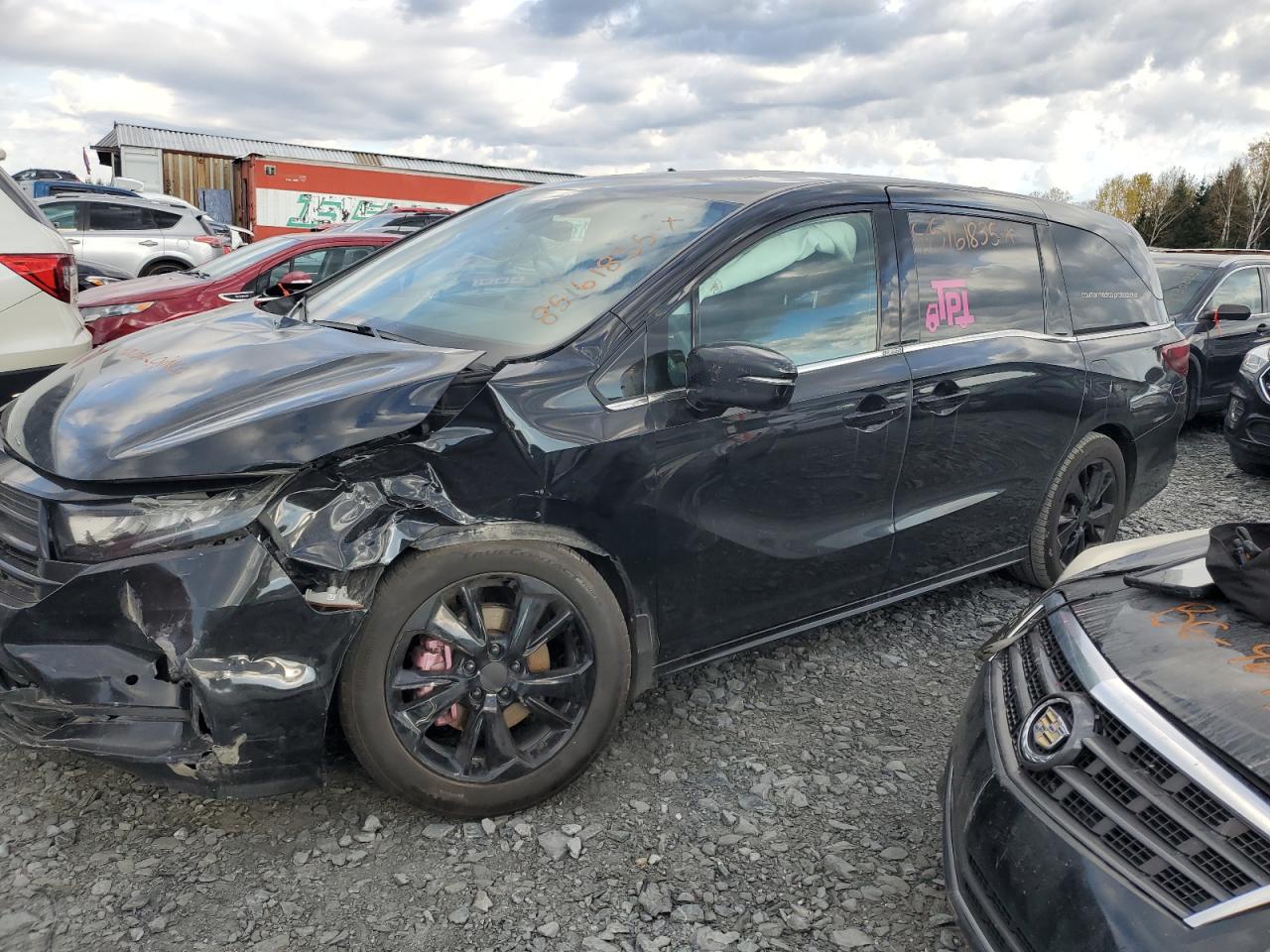 2023 HONDA ODYSSEY BLACK EDITION