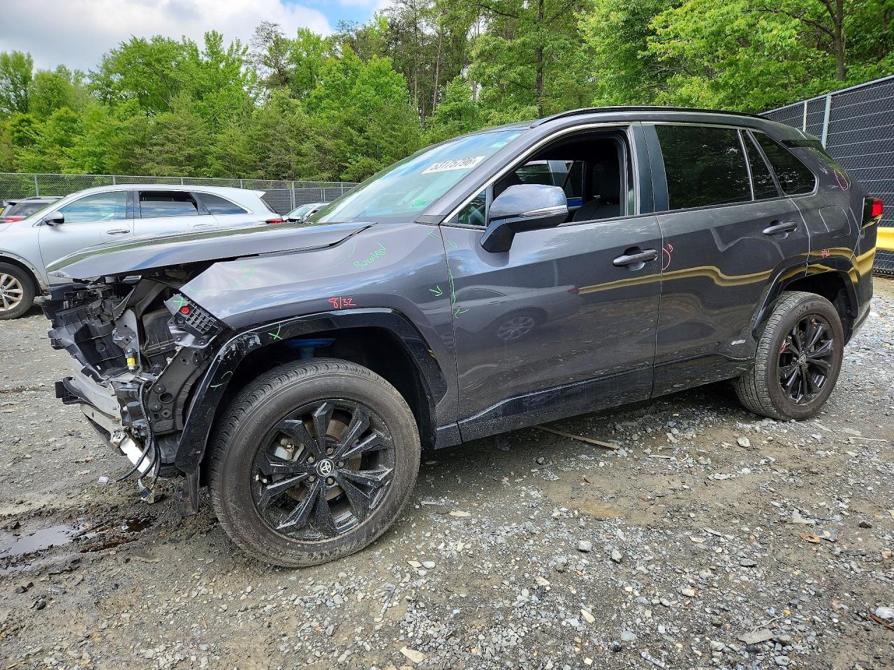2024 TOYOTA RAV4 SE