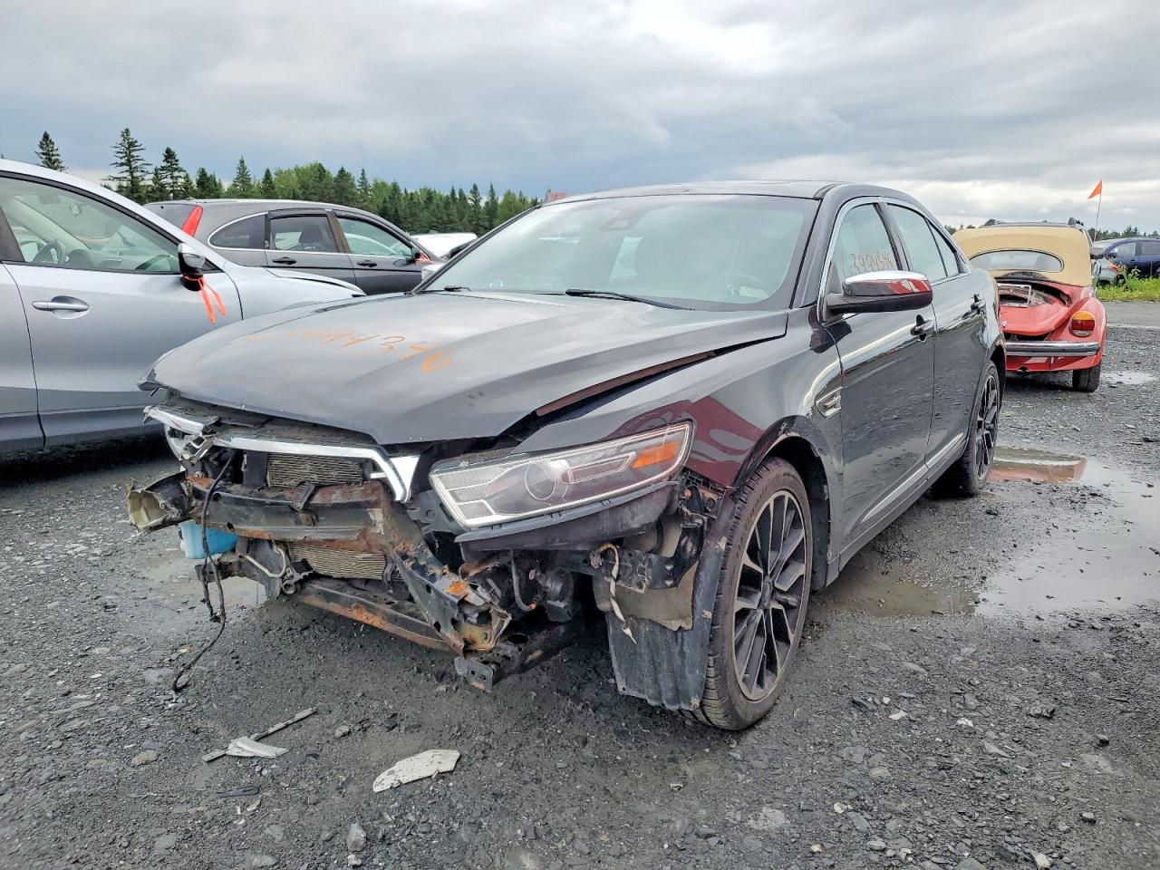 2019 FORD TAURUS LIMITED