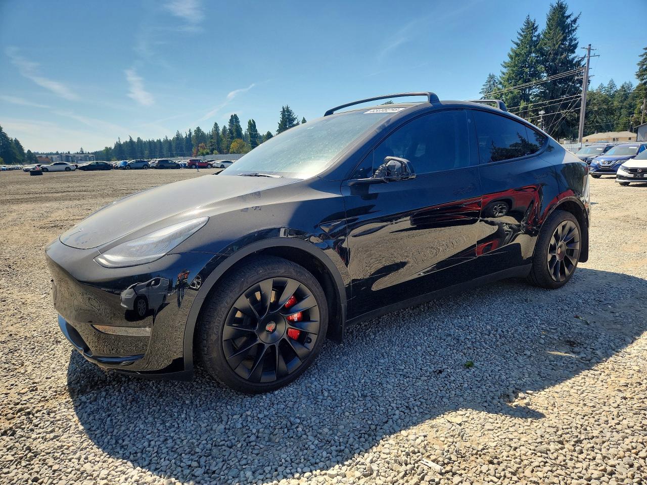 2023 TESLA MODEL Y