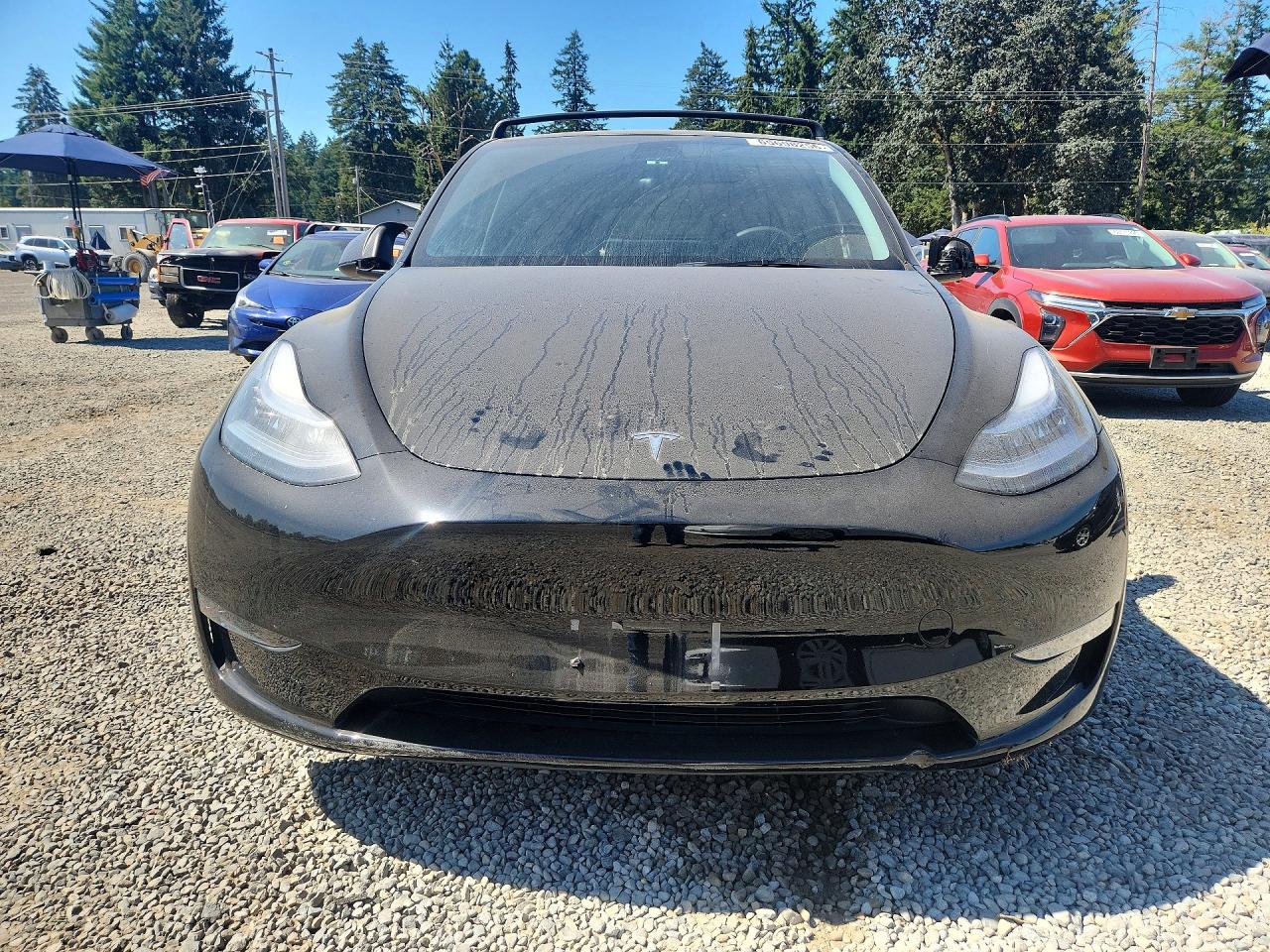 2023 TESLA MODEL Y — снимка 5