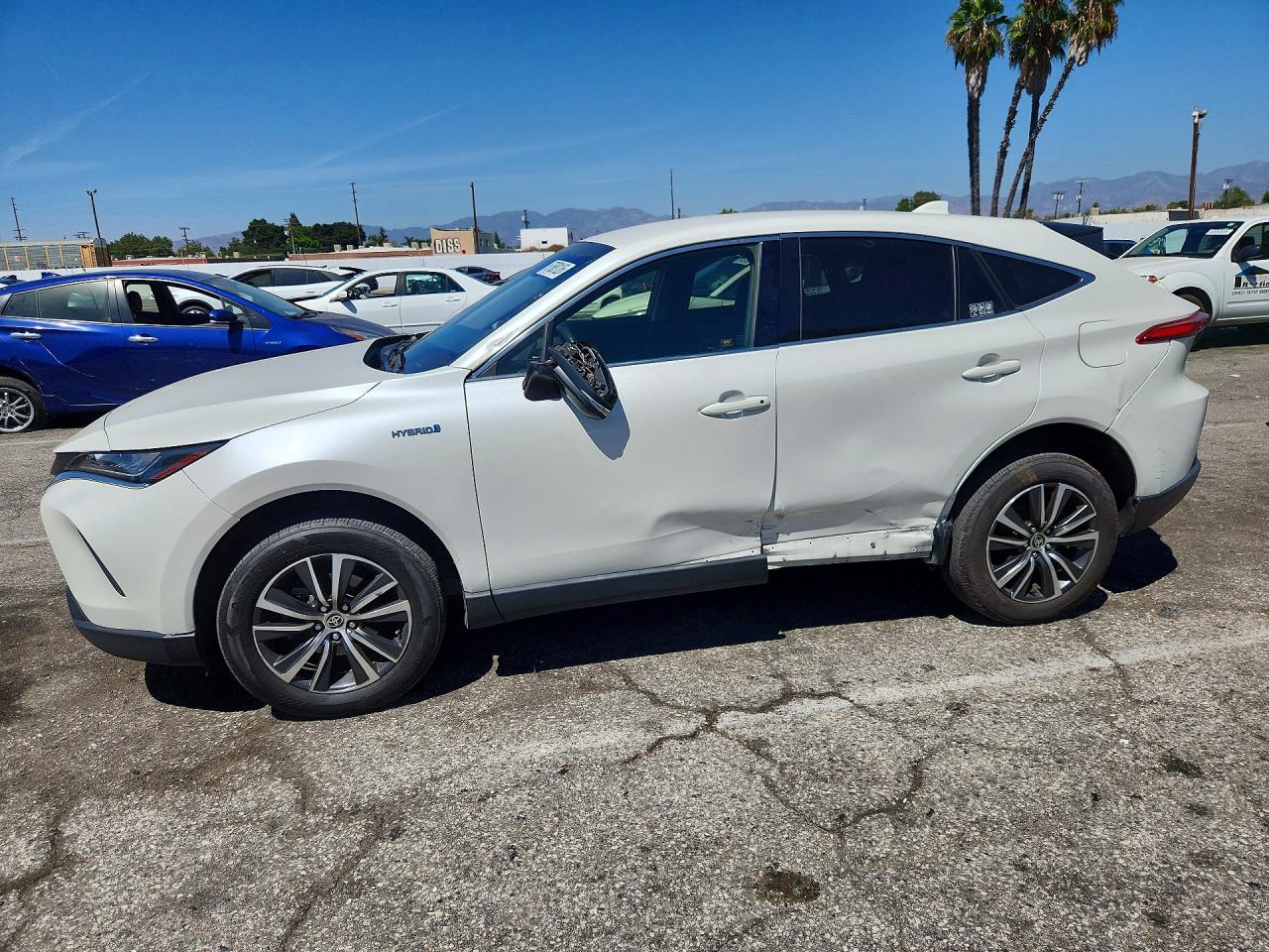 2021 TOYOTA VENZA LE