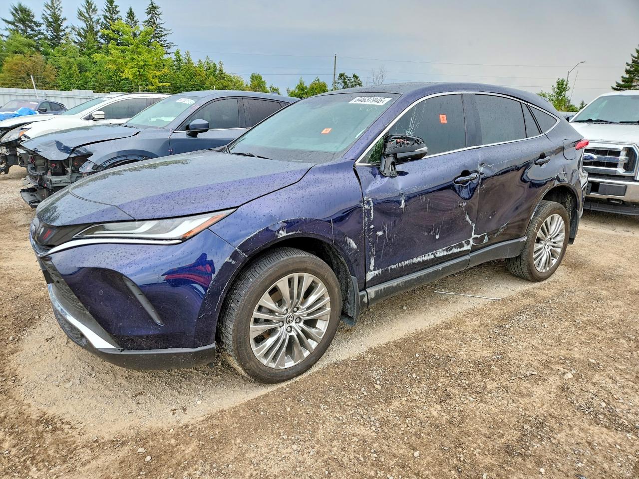 2023 TOYOTA VENZA LE