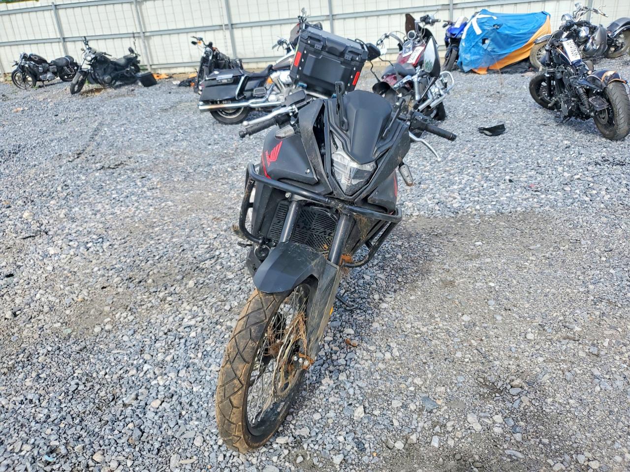 2024 HONDA XL750 — снимка 2