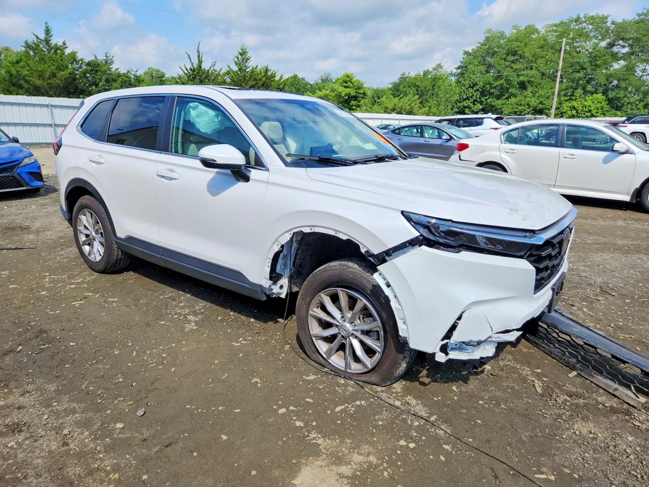 2025 HONDA CR-V EXL — снимка 4