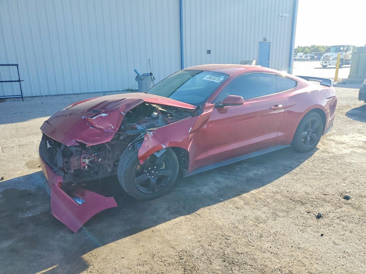 2019 FORD MUSTANG