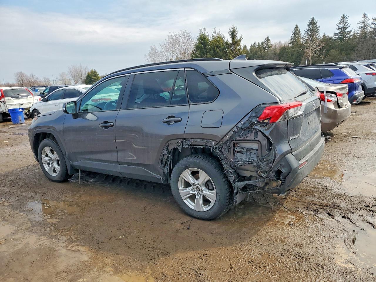 2021 TOYOTA RAV4 XLE — снимка 2