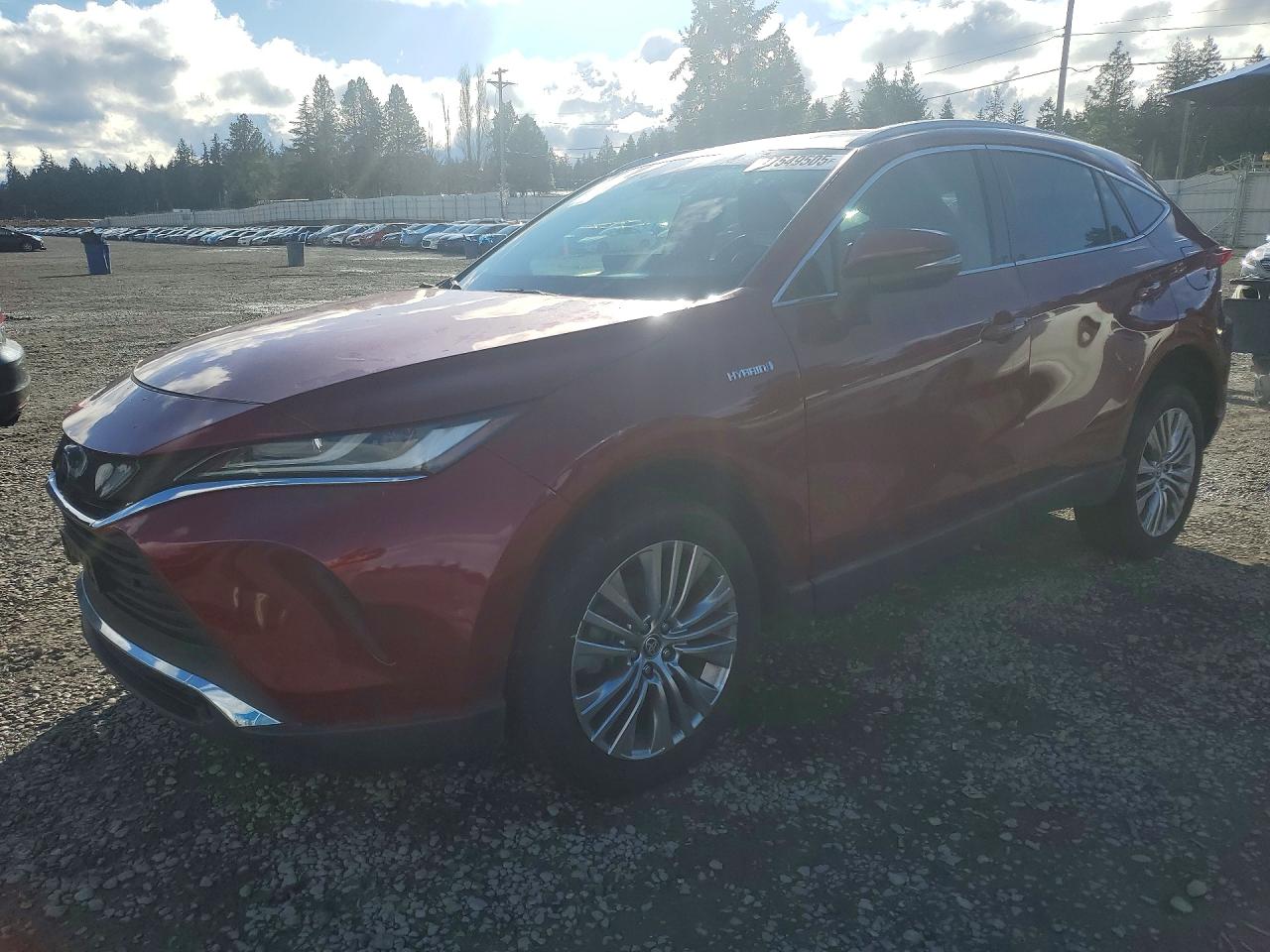 2021 TOYOTA VENZA XLE