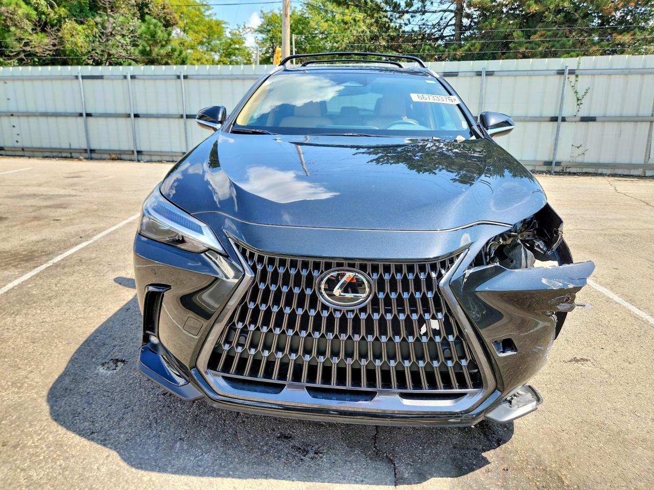 2025 LEXUS NX 350 PREMIUM — снимка 5