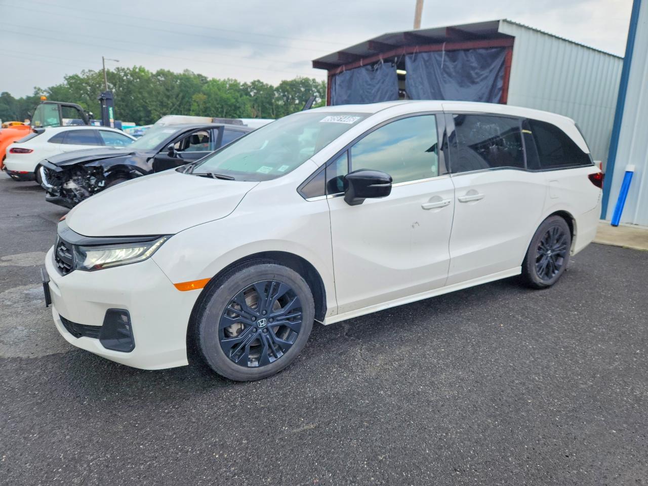 2025 HONDA ODYSSEY SPORT-L