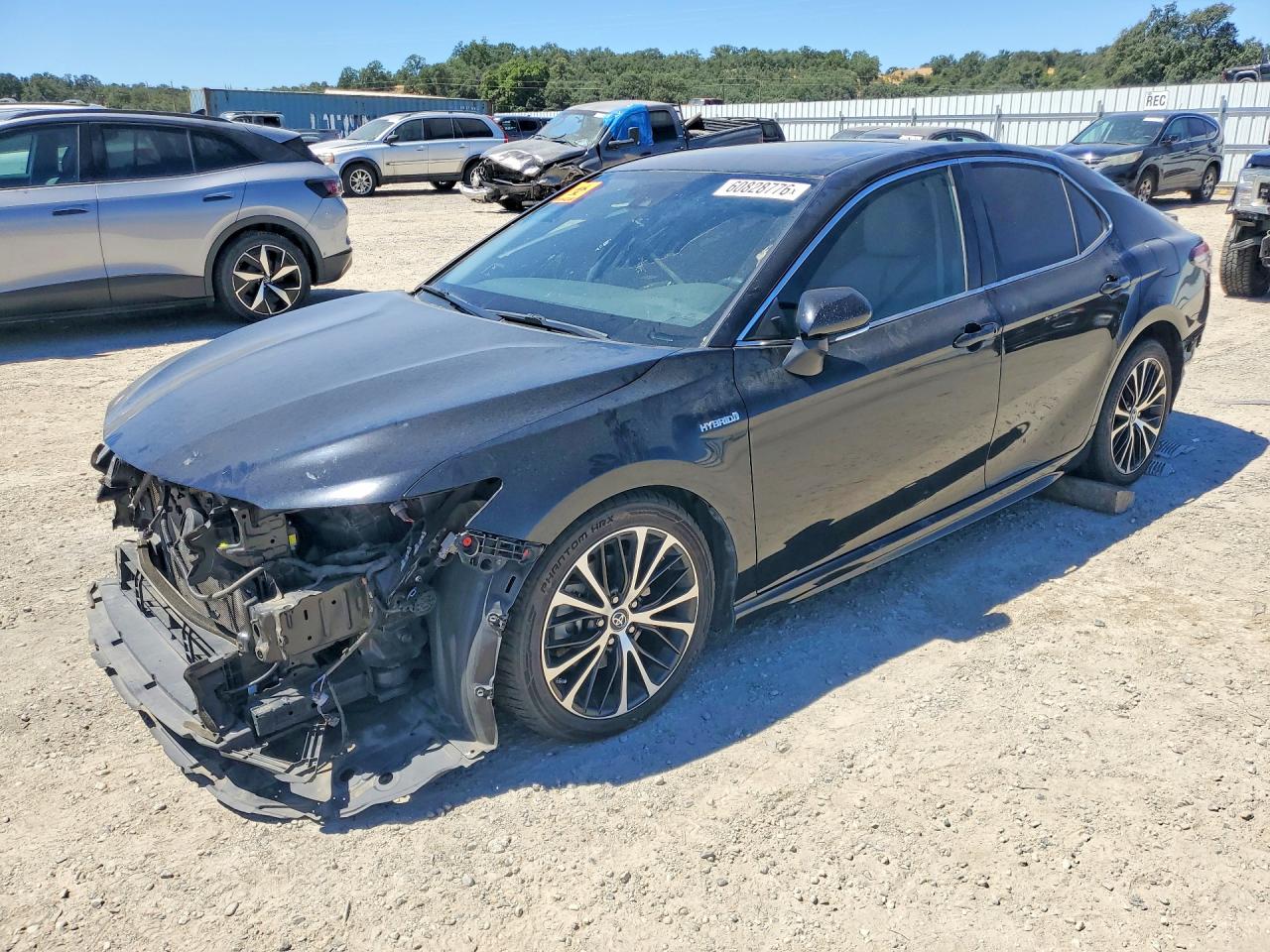 2019 TOYOTA CAMRY HYBRID SE