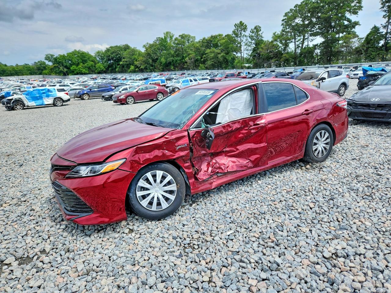 2019 TOYOTA CAMRY LE