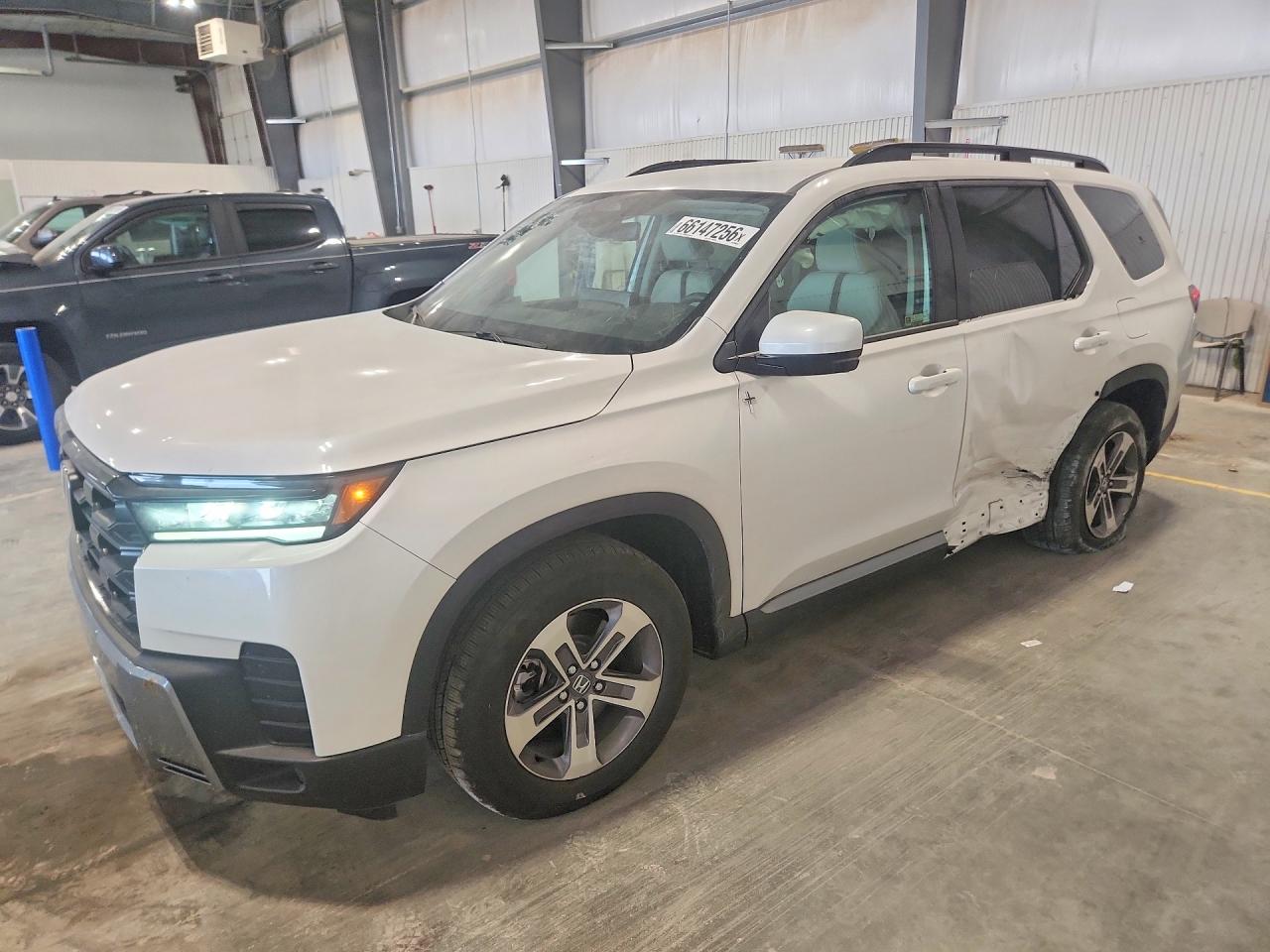 2026 HONDA PILOT EXL