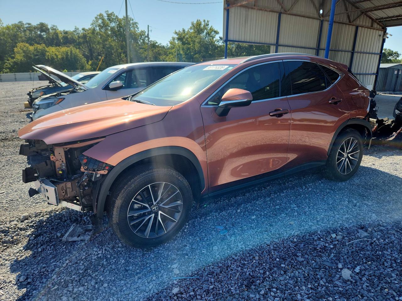 2025 LEXUS NX 250 PREMIUM