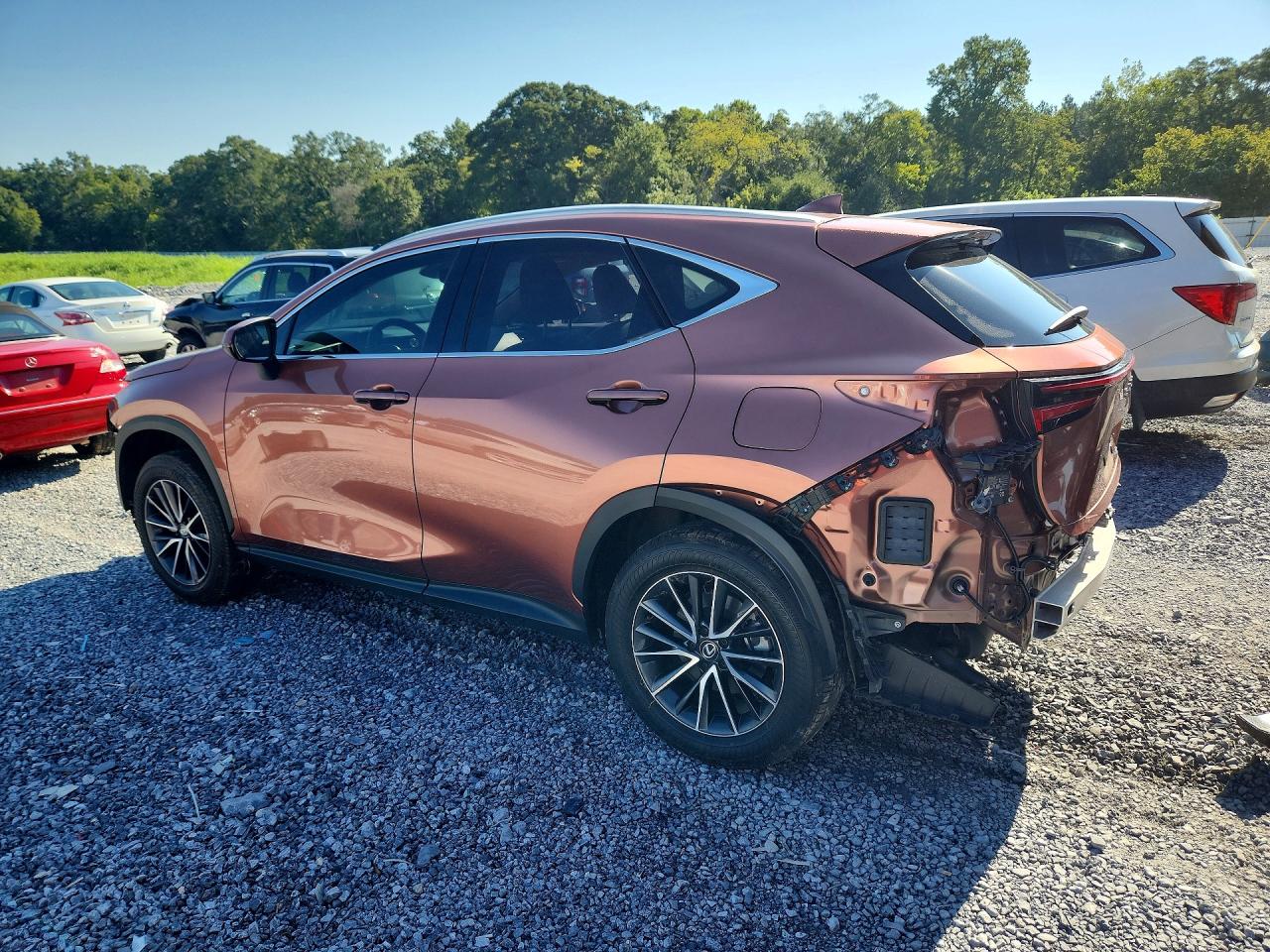 2025 LEXUS NX 250 PREMIUM — снимка 2