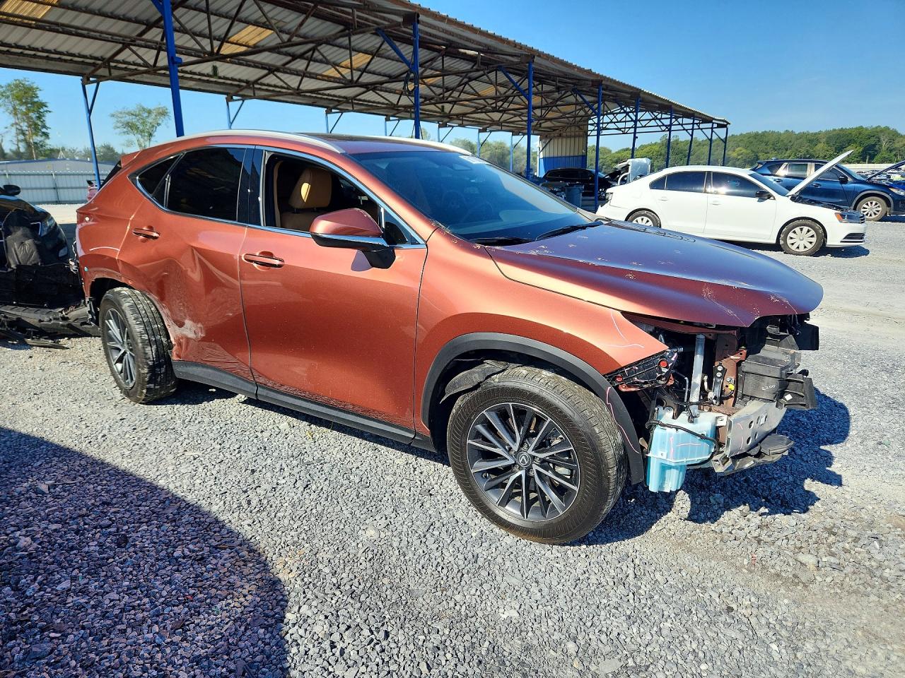 2025 LEXUS NX 250 PREMIUM — снимка 4