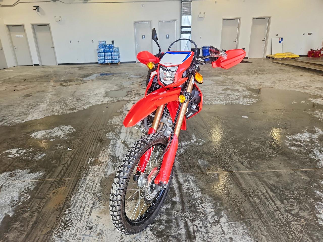 2024 HONDA CRF300 LA — снимка 2