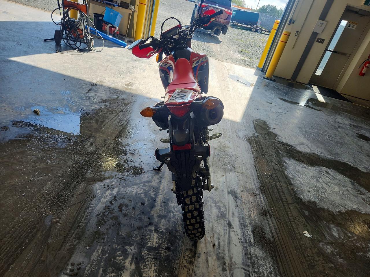 2024 HONDA CRF300 LA — снимка 4