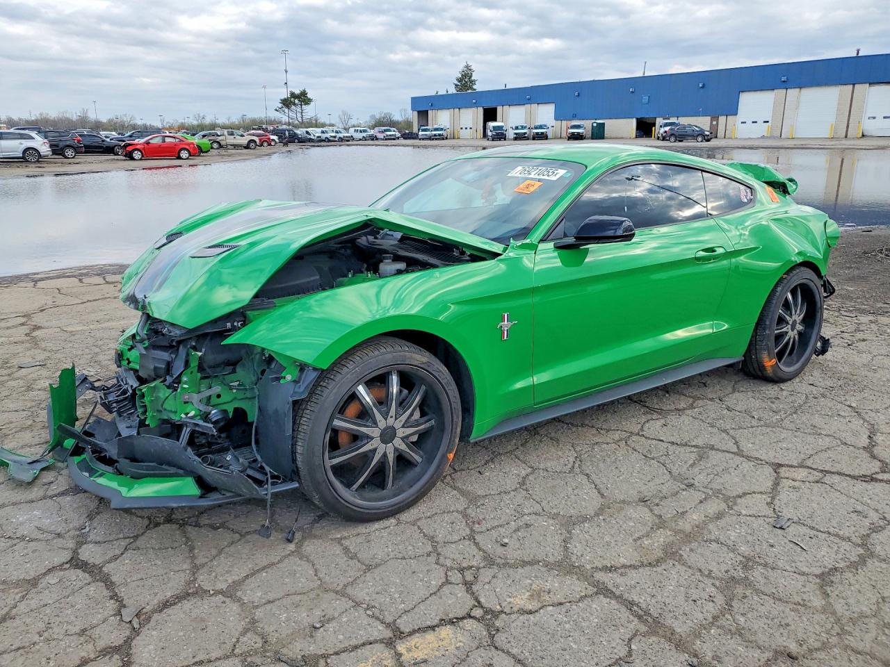 2019 FORD MUSTANG