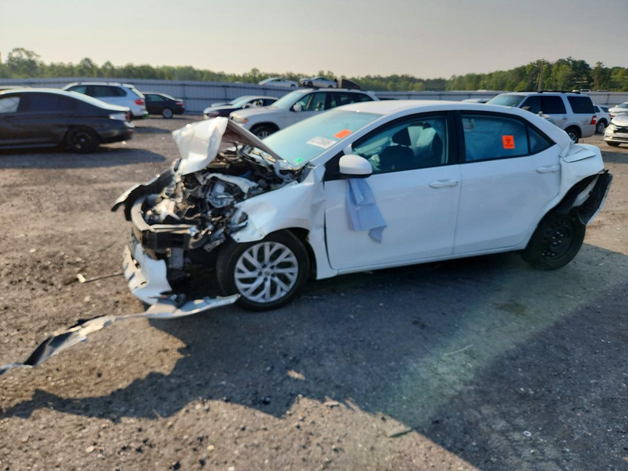 2019 TOYOTA COROLLA LE