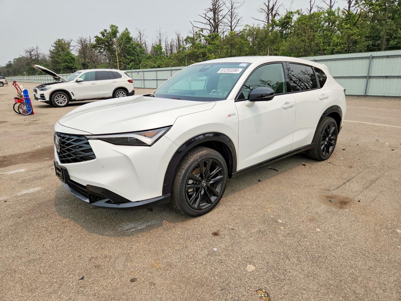 2025 ACURA ADX A-SPEC ADVANCE