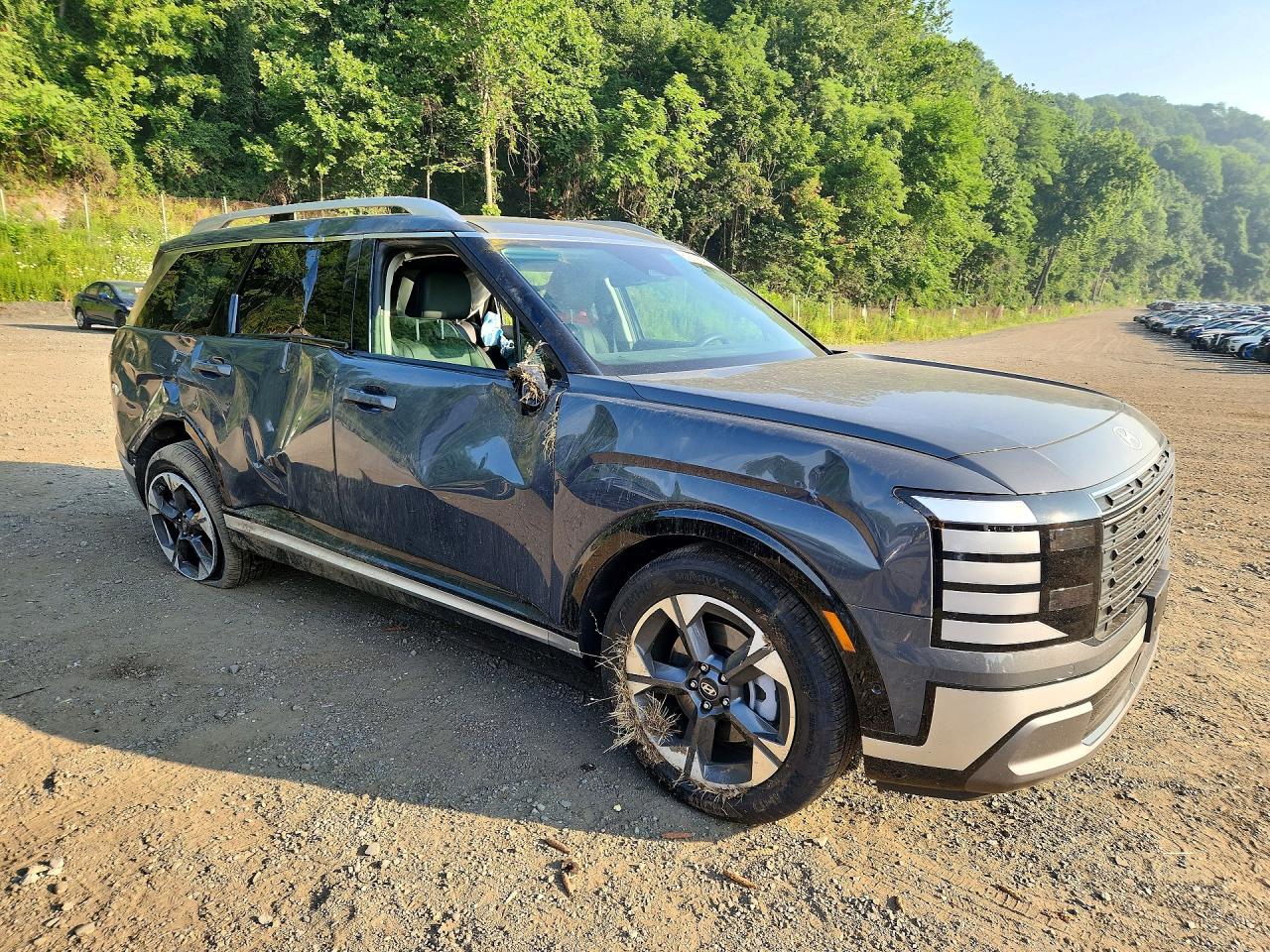2026 HYUNDAI PALISADE LIMITED — снимка 4