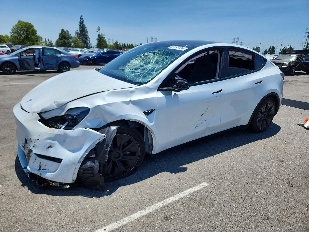 2025 TESLA MODEL Y