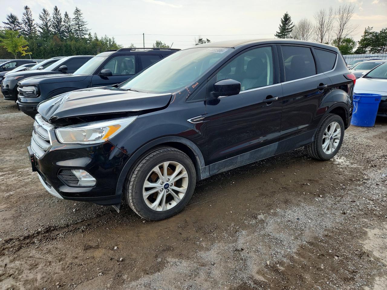 2019 FORD ESCAPE SE