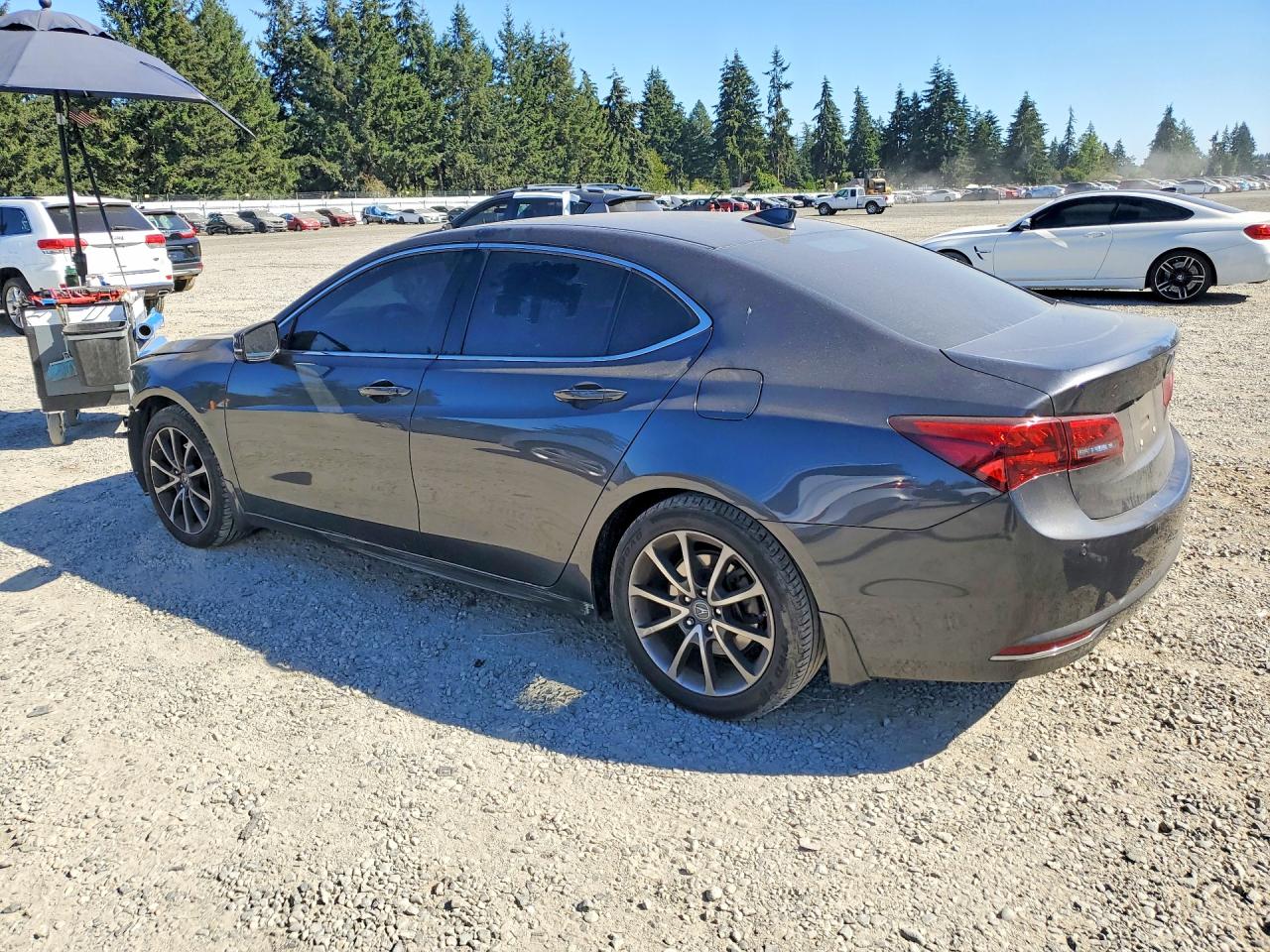 2015 ACURA TLX ADVANCE — снимка 2
