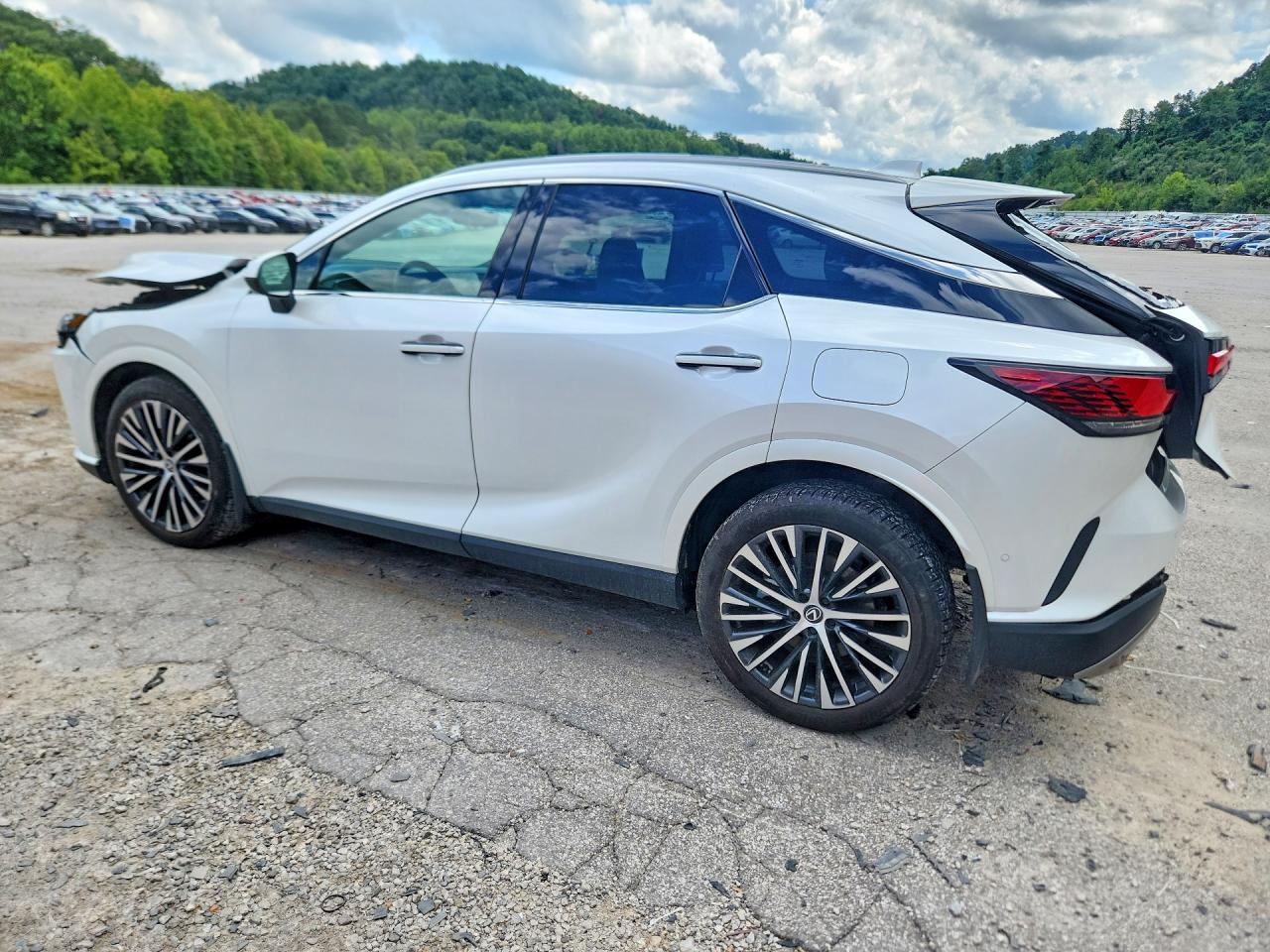 2024 LEXUS RX 350 PREMIUM+ — снимка 2