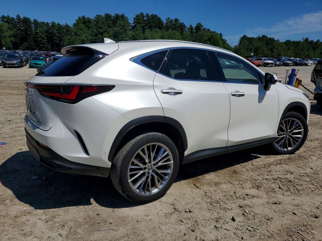 2024 LEXUS NX 350H LUXURY — снимка 3