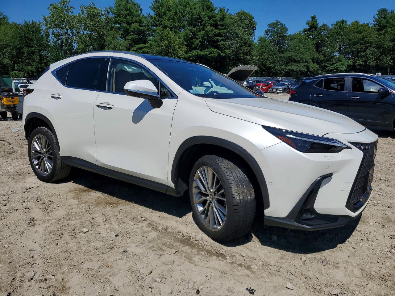 2024 LEXUS NX 350H LUXURY — снимка 4