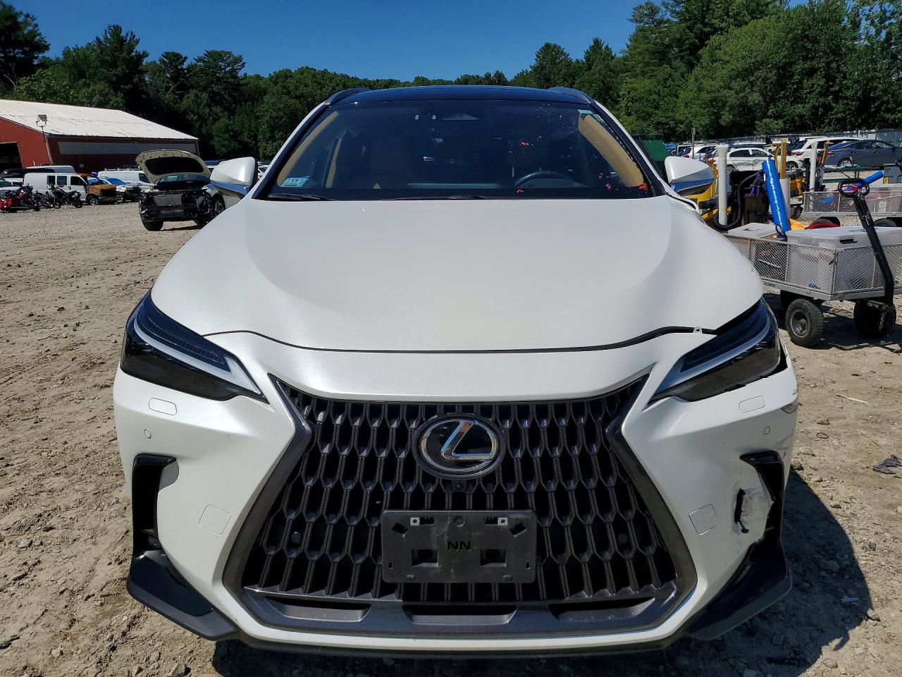 2024 LEXUS NX 350H LUXURY — снимка 5