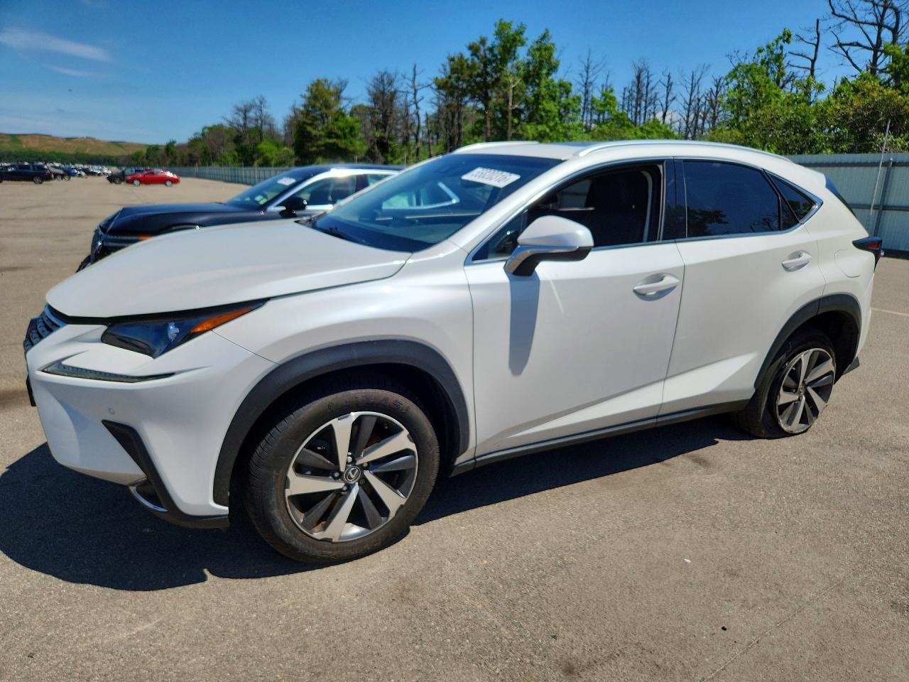 2019 LEXUS NX 300 BASE