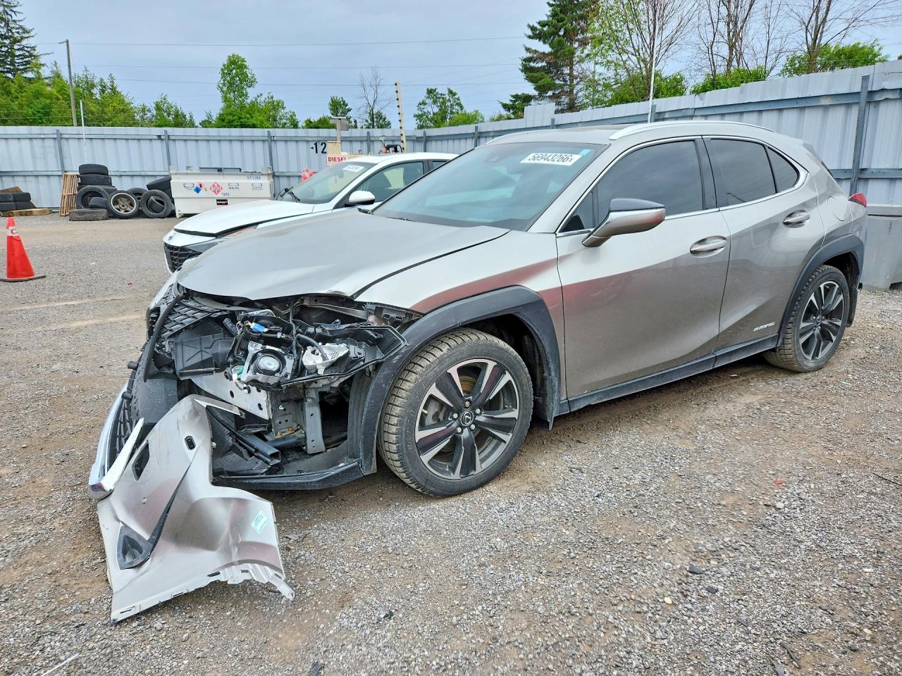 2019 LEXUS UX 250H