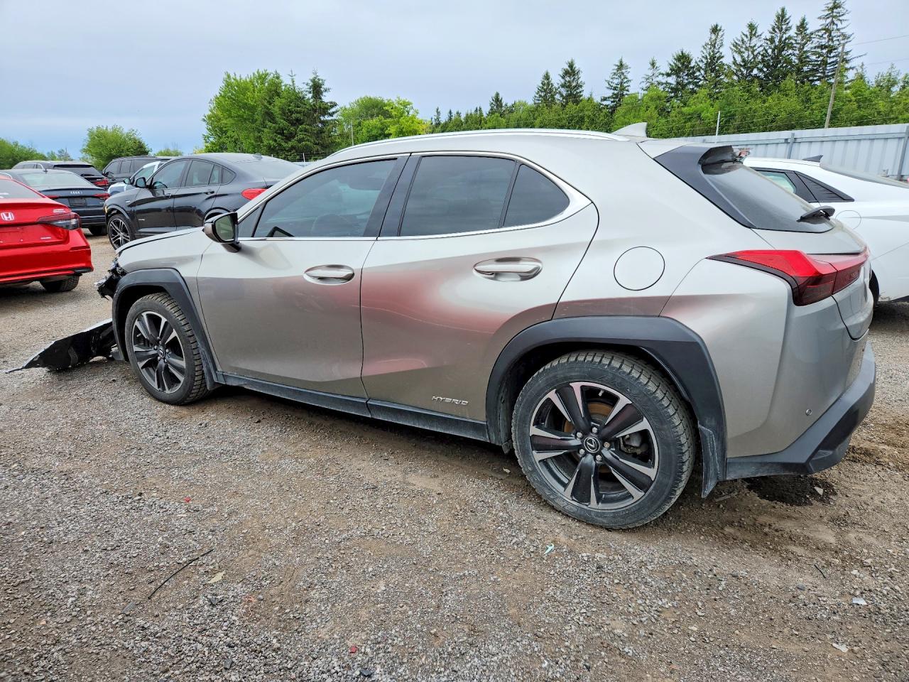 2019 LEXUS UX 250H — photo 2