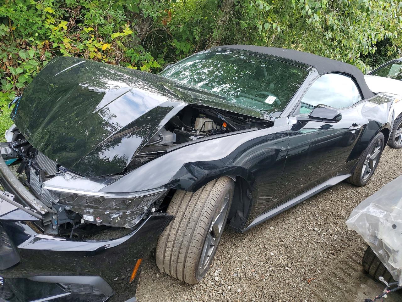 2026 FORD MUSTANG